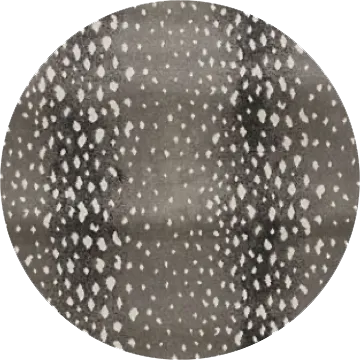 CARPET Carpet | Myers Flooring of Nashville